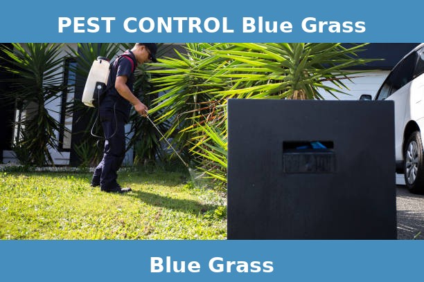 PEST CONTROL Blue Grass